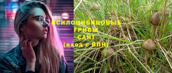 спайс Арсеньев