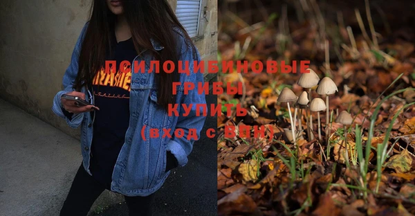 молекула духа Аркадак