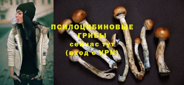 молекула духа Аркадак