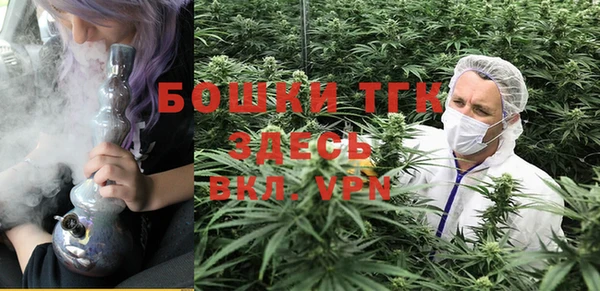 спайс Арсеньев
