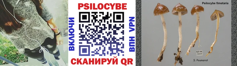 Галлюциногенные грибы ЛСД  Купить где  Межгорье 