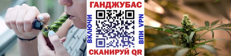 Бошки марихуана конопля Межгорье